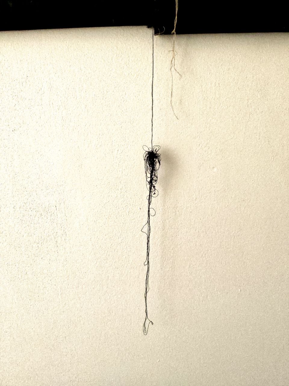 Ross.Wool · «Il Filo del Silenzio» — Filamento in caduta verticale con addensamento nodale, 2023